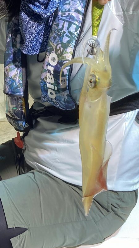 激荒れイカメタル