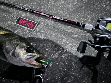 ボトムネチリンコが正義！