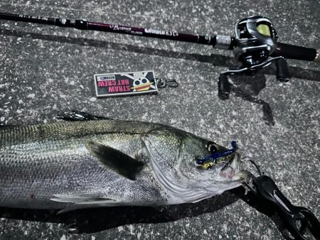 また引き出しが増えた釣果！