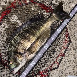 ヘチってきました