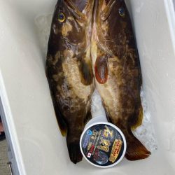 美味しいお魚ゲッチュ