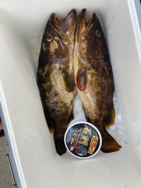 美味しいお魚ゲッチュ