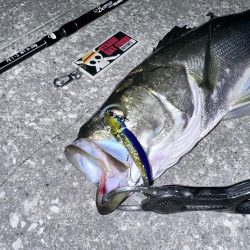 釣れない時はいないんじゃなくてボトムネチリンコ!