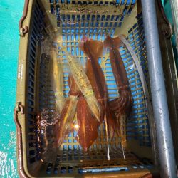 4回目イカメタル