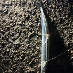 ジグサビキ　27