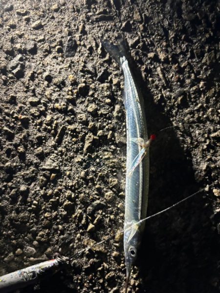 ジグサビキ　27