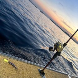 博多湾夏の風物詩