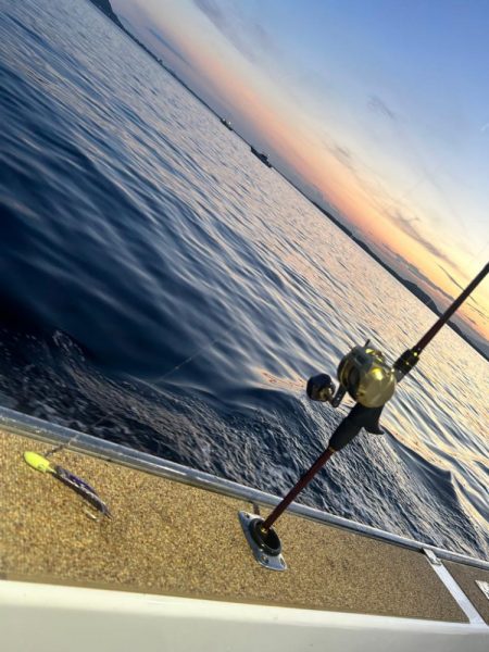 博多湾夏の風物詩