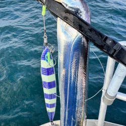 タチウオ/タチウオジギング