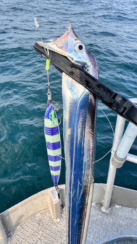 タチウオ/タチウオジギング