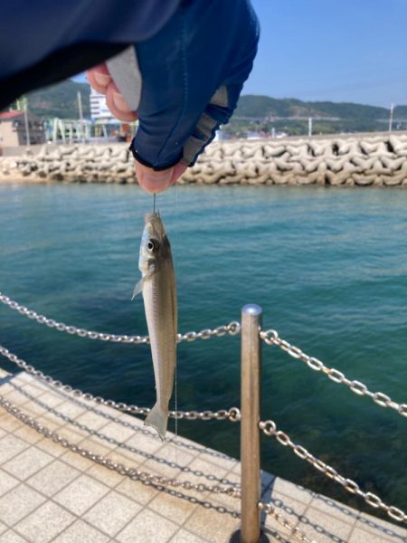 淡路島釣行!