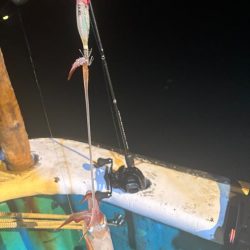 和歌山イカメタル