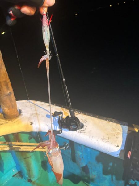 和歌山イカメタル