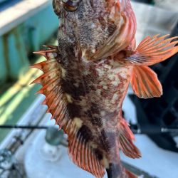 久しぶりの須磨沖釣行！