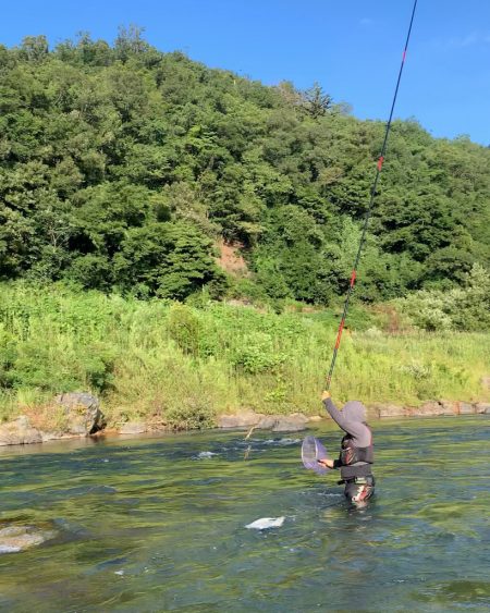 鮎の友釣り