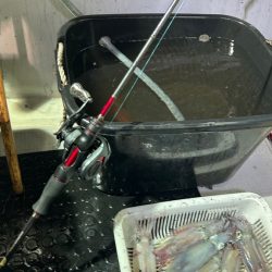 今期ラスト釣行