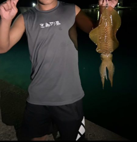 ナイトエギング