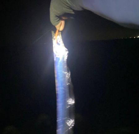 カツオ・アジ・太刀魚