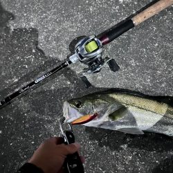 ダイソーベイトリール検証失敗!