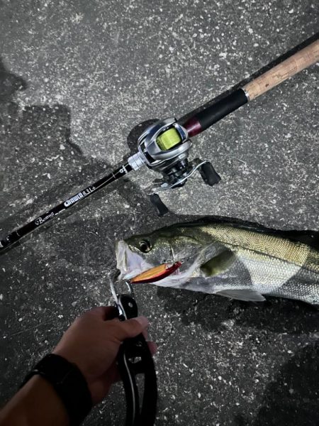 ダイソーベイトリール検証失敗!