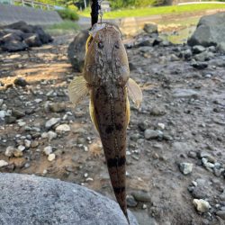 海はさっぱり釣れません。