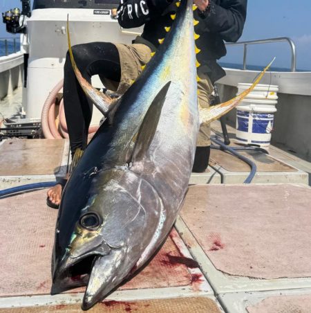 キハダキャスティング