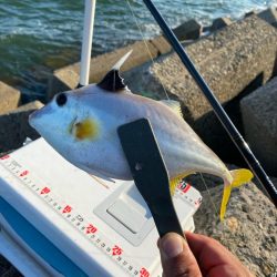 シロギスタ:大盛ポテチチャリコ