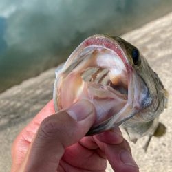 真夏の昼間でも