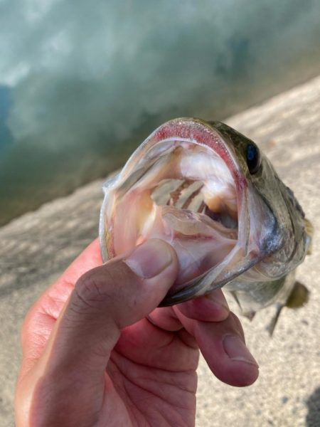 真夏の昼間でも