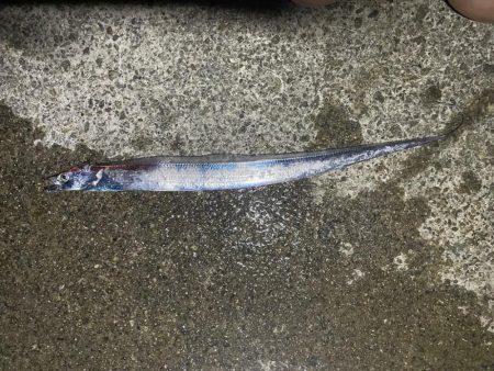 初太刀！  調査釣行