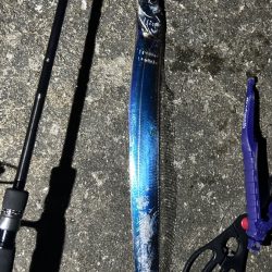 恒例淡路島タチウオ