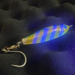 ライトショアジギング