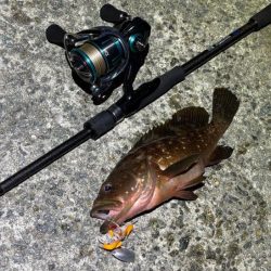 何でも釣れるショアラバ最強！