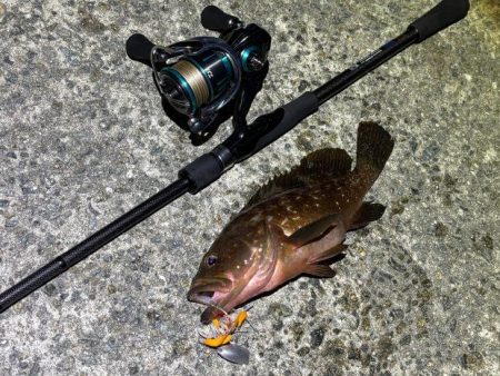 何でも釣れるショアラバ最強！