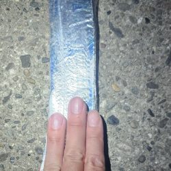 状況が変わってきた