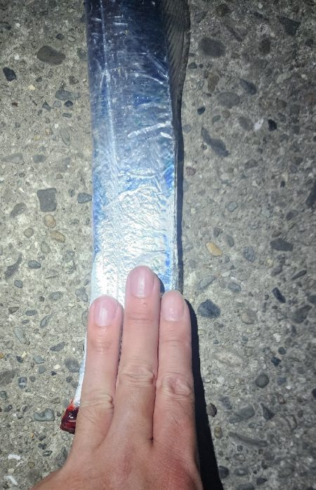 状況が変わってきた