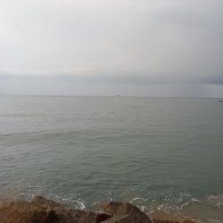 キス釣りなのに…。初めての外道。