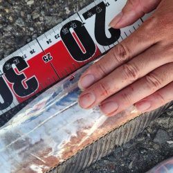 新人とベテラン