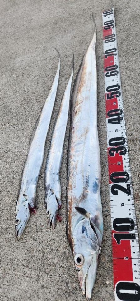 新人と大ベテラン