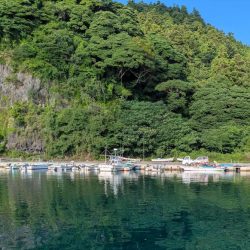隠岐の島釣行4日目