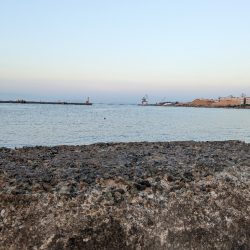 朝活タコさん、全員安打〜