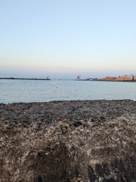 朝活タコさん、全員安打〜