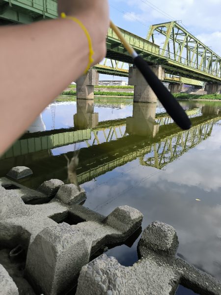 懲りずにテナガエビ