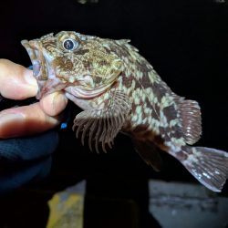 サイズを求めて