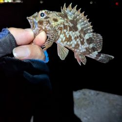 ちょっと涼しい？