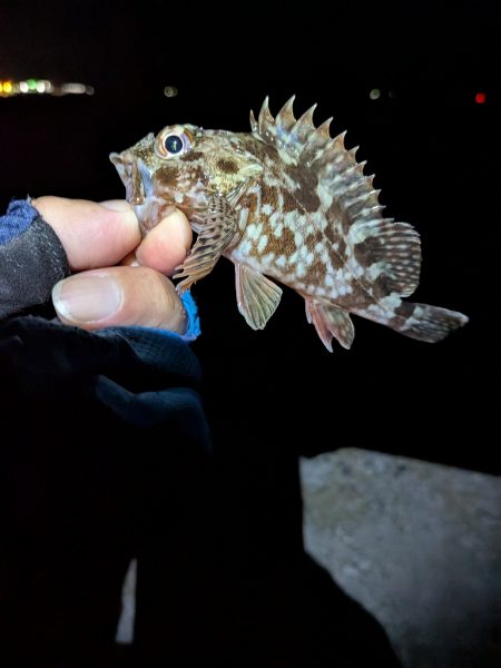 ちょっと涼しい？