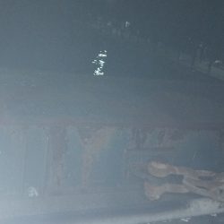 太刀魚アジ狙いで陸は満員