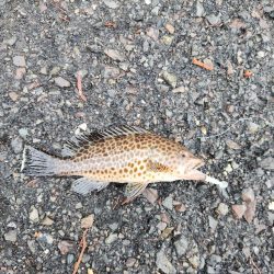 雨の遠征　1日目