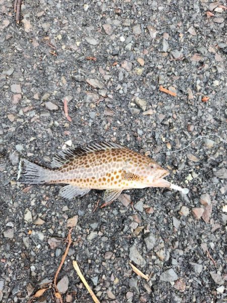 雨の遠征　1日目
