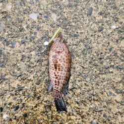 雨の遠征　2日目